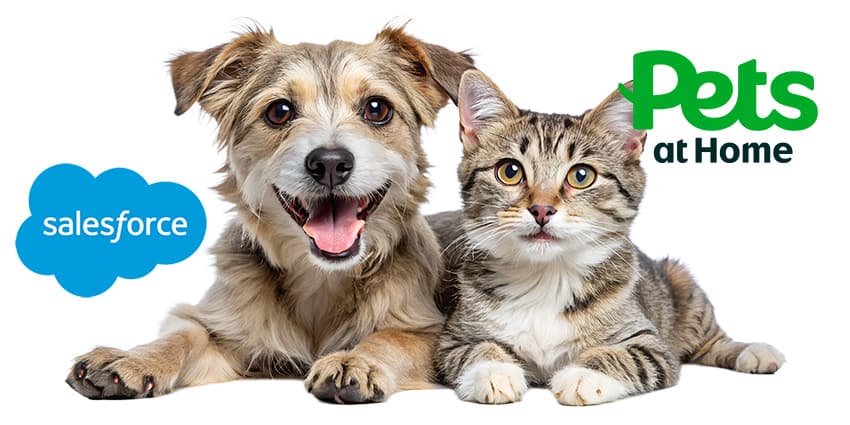 How Pets at Home Is Putting the Lead on Connected Pet Care With Salesforce