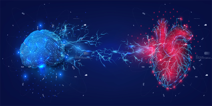 Digital Illustration of Brain and Heart Connectivity in Blue and Red with Electrical Impulses. Wireframe light connection structure.