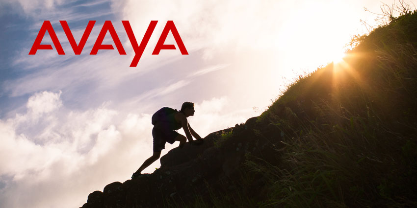 Avaya Is Set to Exceed Revenue Forecasts as Its Enterprise Retention Rates Hold Firm