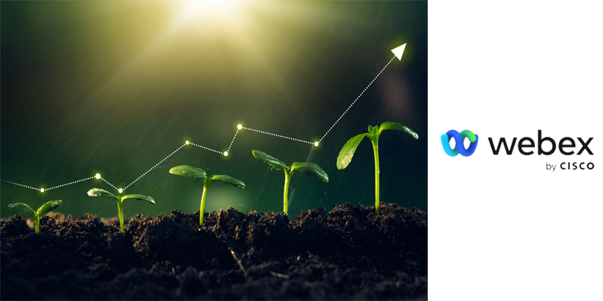 Concept of business growth,profit, development and success. Young plants increase on sunny background.Growing money,finance and investment.