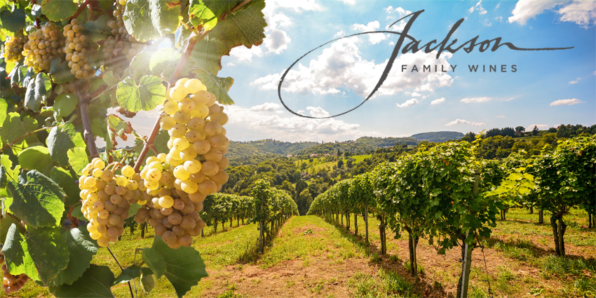 Vineyard