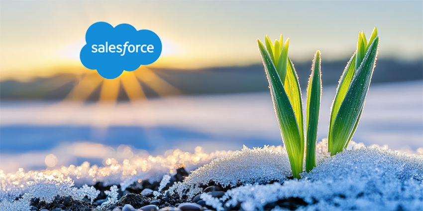 Frost damage to crops in spring from severe frost in winter wheat fields.