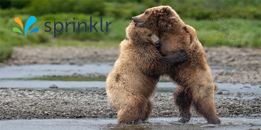 Bear Hug?