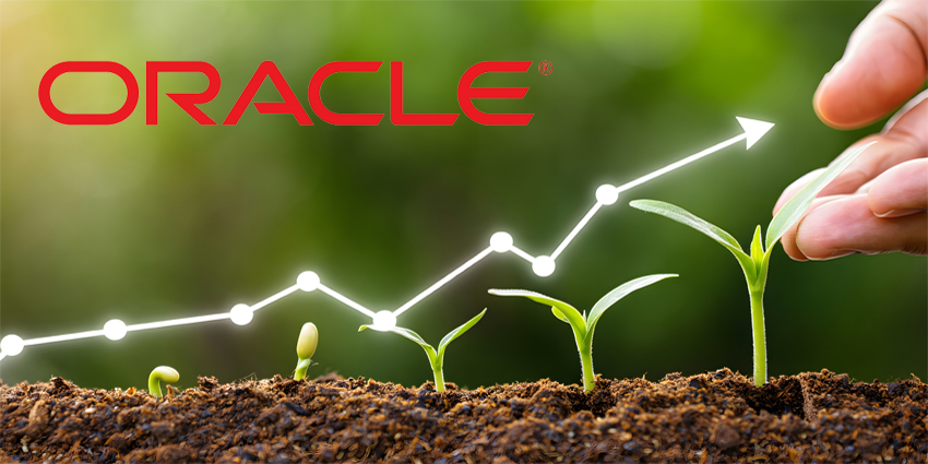 Understanding business growth strategies: nurturing startups and achieving financial success