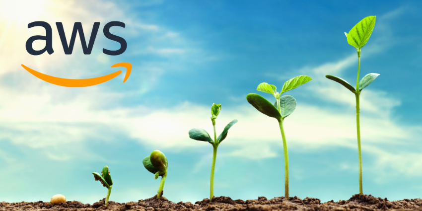 AWS Delivers Its Fastest Growth in 15 Quarters, CEO Announces