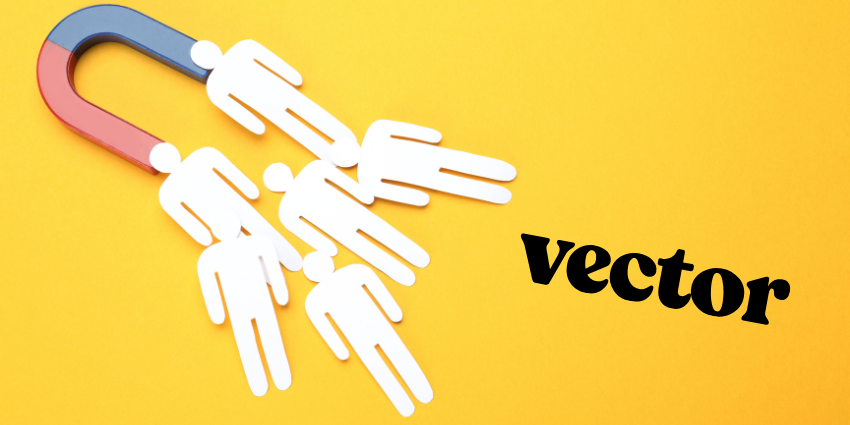 A modern digital interface representing Vector's AI marketing platform, showing real-time website visitor identification and contact-level advertising metrics.